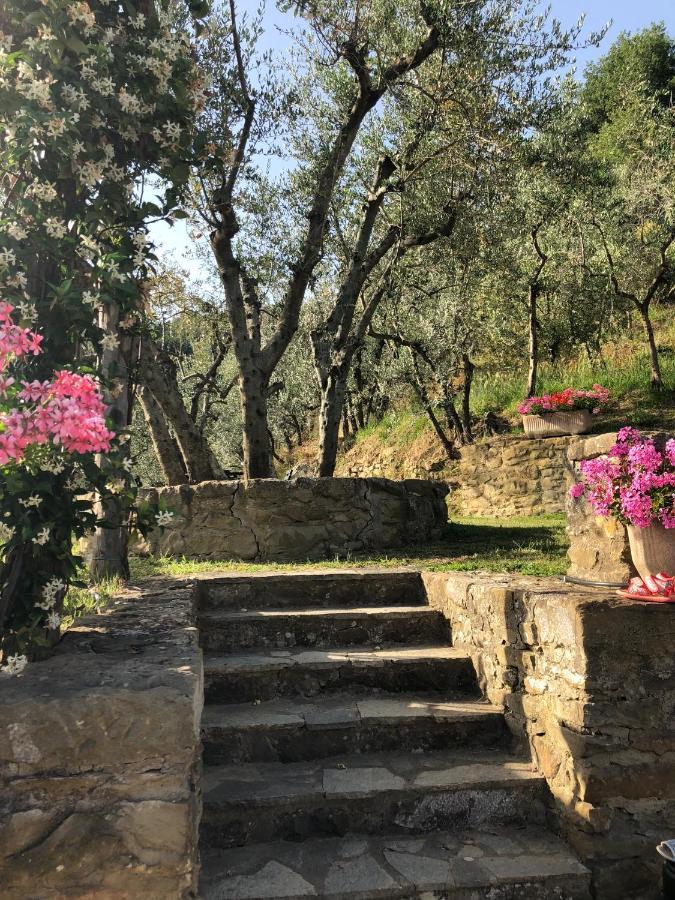Castelfranco di Sopra Agriturismo La Casella מראה חיצוני תמונה