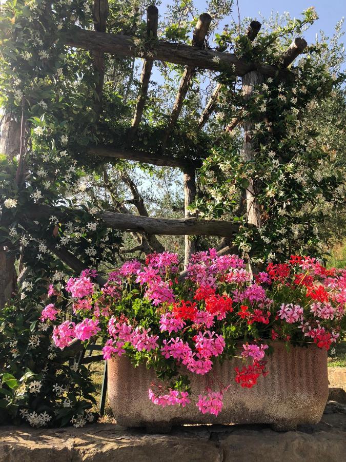 Castelfranco di Sopra Agriturismo La Casella מראה חיצוני תמונה